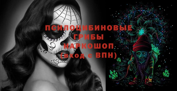 прущая мука Бородино