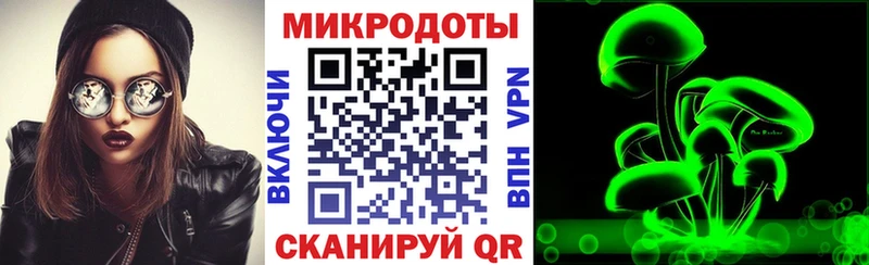 Купить закладки  Большой Камень  Галлюциногенные грибы GOLDEN TEACHER 